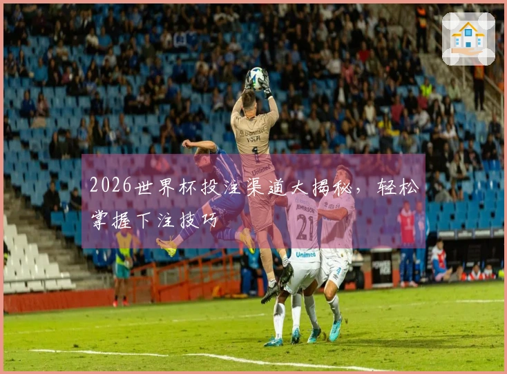 2026世界杯投注渠道大揭秘，轻松掌握下注技巧