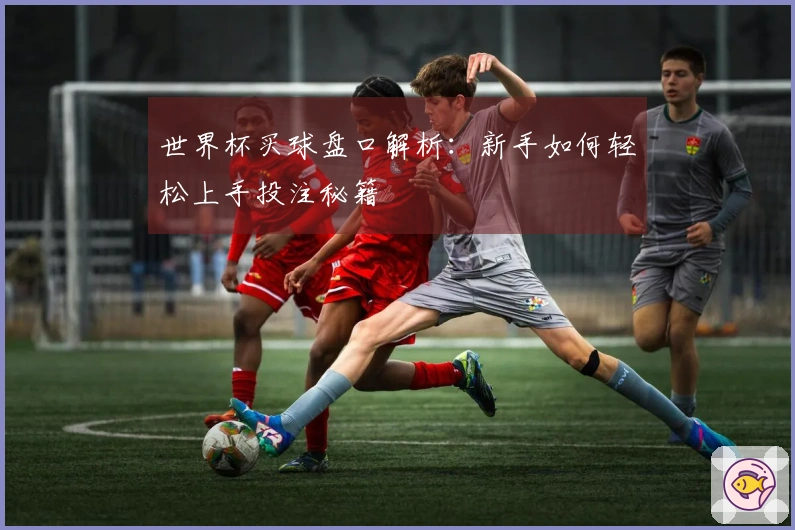 世界杯买球盘口解析：新手如何轻松上手投注秘籍