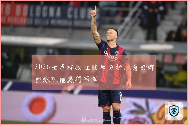 2026世界杯投注赔率分析，看好哪些球队能赢得冠军