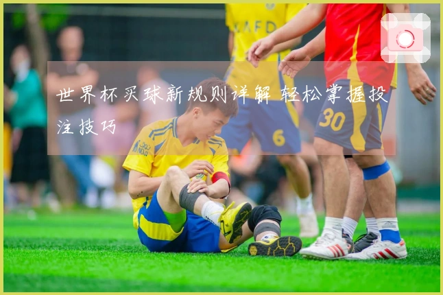世界杯买球新规则详解 轻松掌握投注技巧
