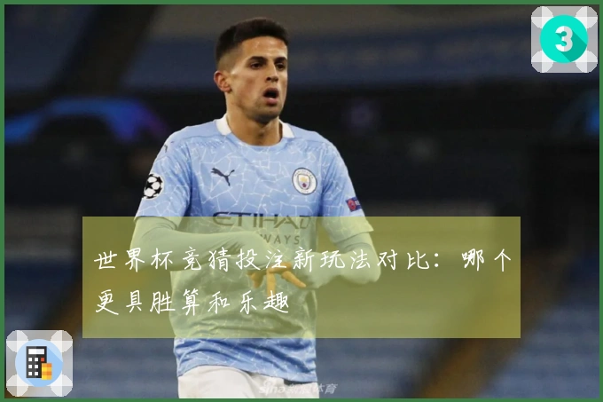世界杯竞猜投注新玩法对比：哪个更具胜算和乐趣