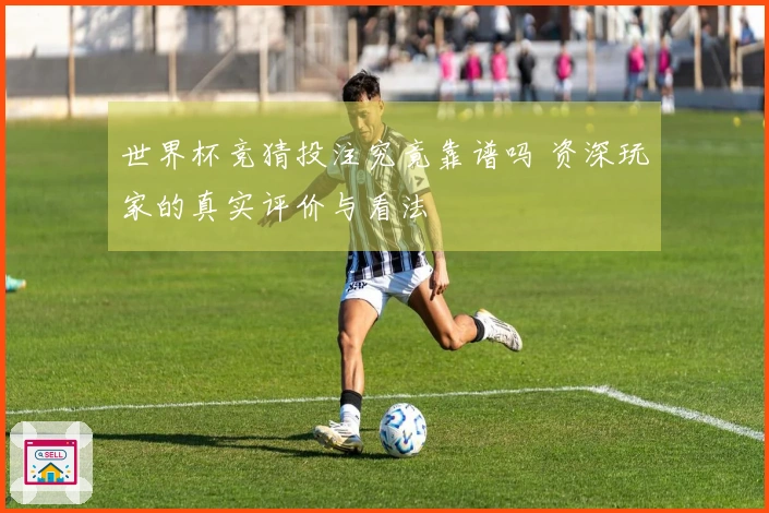世界杯竞猜投注究竟靠谱吗 资深玩家的真实评价与看法