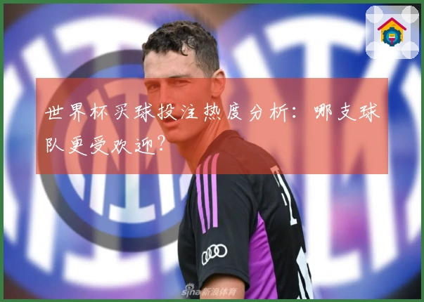 世界杯买球投注热度分析：哪支球队更受欢迎？